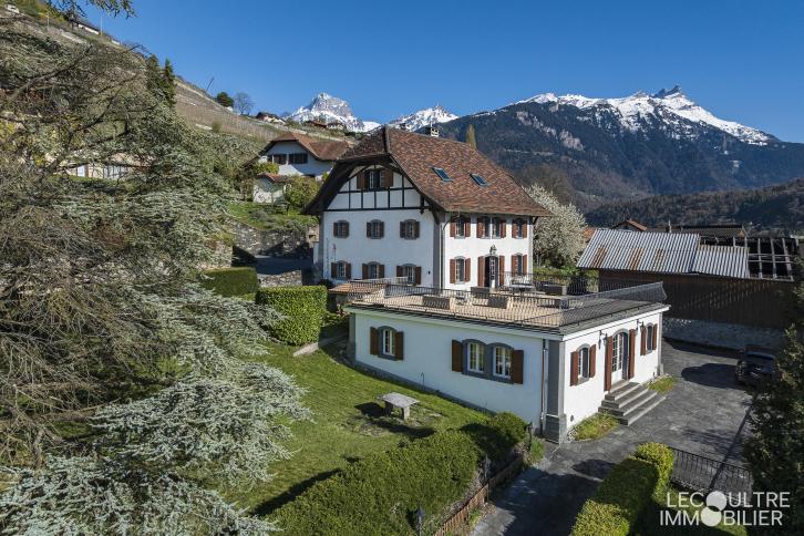 Maison villageoise, 8.5 pièces, 366.67 m2